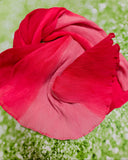 Red & Pink Ombre Crushed Georgette Dupatta (Dual Tone Pleated)